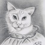 Katzenportrait Gismo