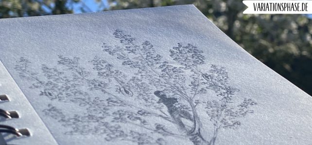 Ein Schatten im Baum zwischen flirrenden Lichtern