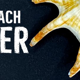 Angelehnt an das Buchcover eine Kachel für den Blog